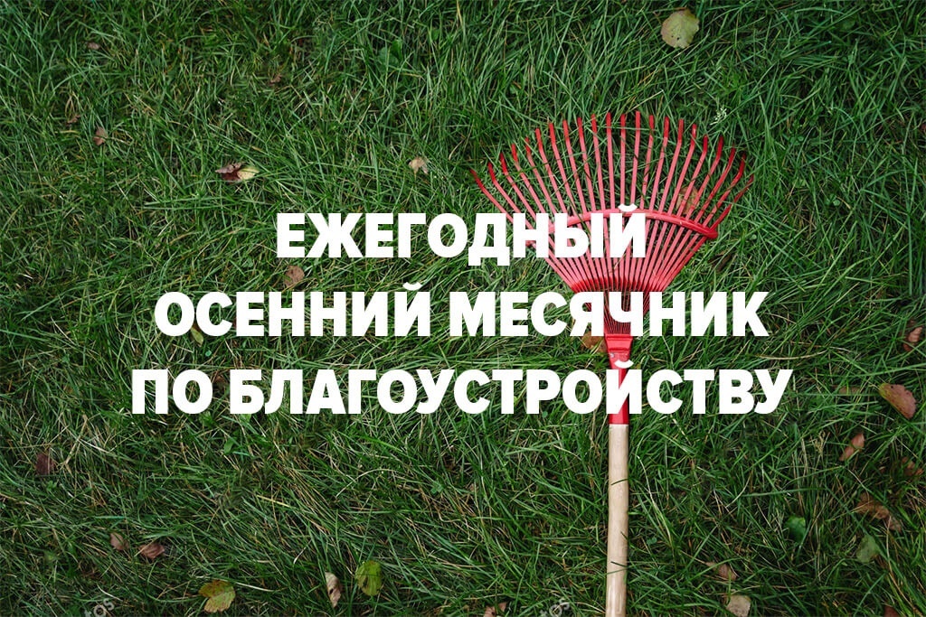 Объявление.